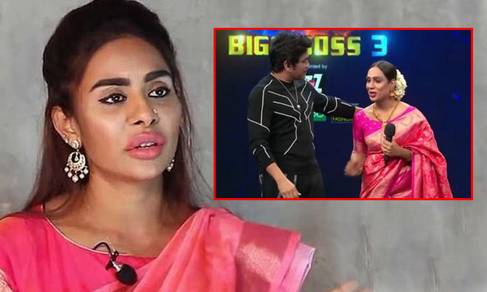 Sri Reddy Sensational Comments On Akkineni Nagrjuna Sri Reddy Sensational Comments On Akkineni Nagrjuna-TeluguStop.com