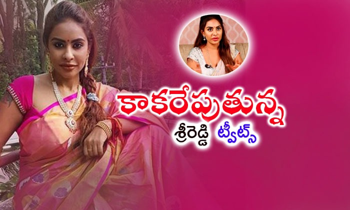  Srireddy Comments On Ohbaby Movie 1-TeluguStop.com