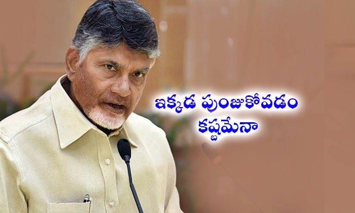 1 Tdpback Inrayalaseema 1 Tdpback Inrayalaseema-TeluguStop.com