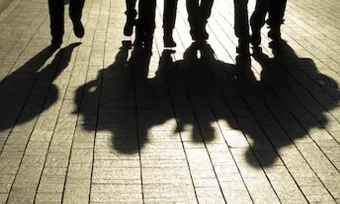 Seen Like In The Movies At Hotel In Rajasthan Seen Like In The Movies At Hotel In Rajasthan-TeluguStop.com