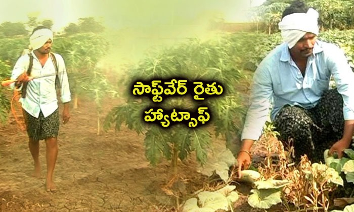  Software Engineer Doing Farming-TeluguStop.com