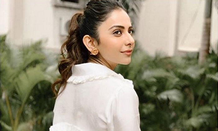  Rakul Preeth Sing Hopes On Manmadhudu 2 Movie Telugu Tollywood Updates-TeluguStop.com