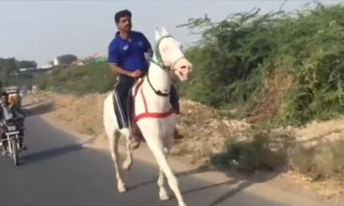  Hindupur Mphorse Ridingon Theroad Ci-TeluguStop.com