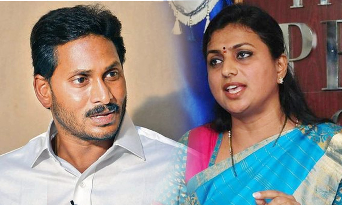  Jagan Give Thewarning To Roja-TeluguStop.com