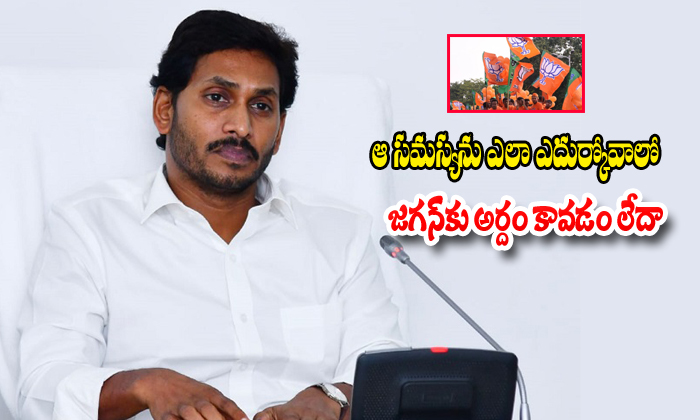  Ys Jagan Wants To Try Ap Special Status From Bjp Government Telugu News Updates-TeluguStop.com