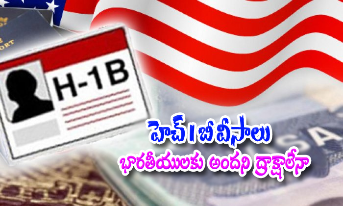  H1 B Visa Rules Aregoingstrict With American Rules 1-TeluguStop.com