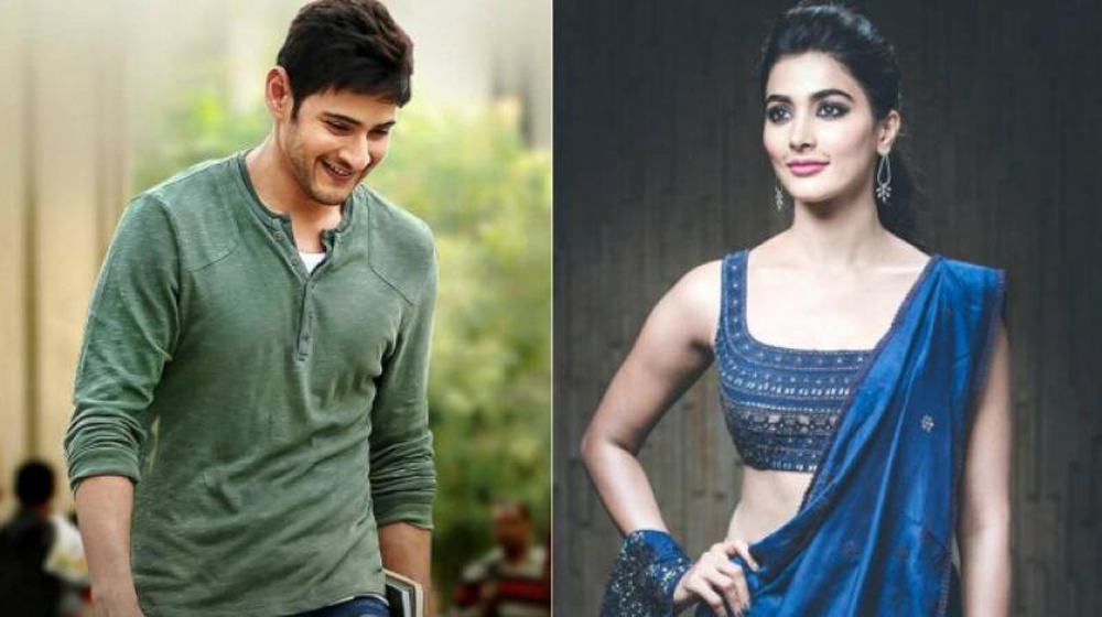 Telugu Gaddalakonda, Mahesh Babu, Pooja Hegde, Telugutollywood, Valmiki, Varun T