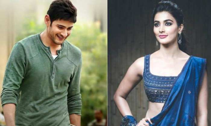  Pooja Hegde In Mahesh Babu Movie-TeluguStop.com