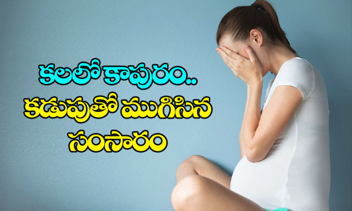  Wife Got Pregnant With Her Husband Coming In Dreams-TeluguStop.com