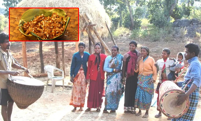  Jharkhand State Koda Tribal Communities Eat Red Ants For Health-TeluguStop.com