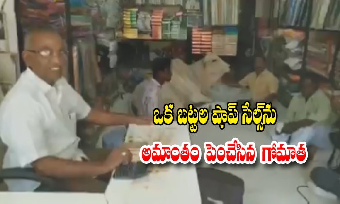  Acow Visits A Cloth Store In Mydukur Ap Everyday-TeluguStop.com