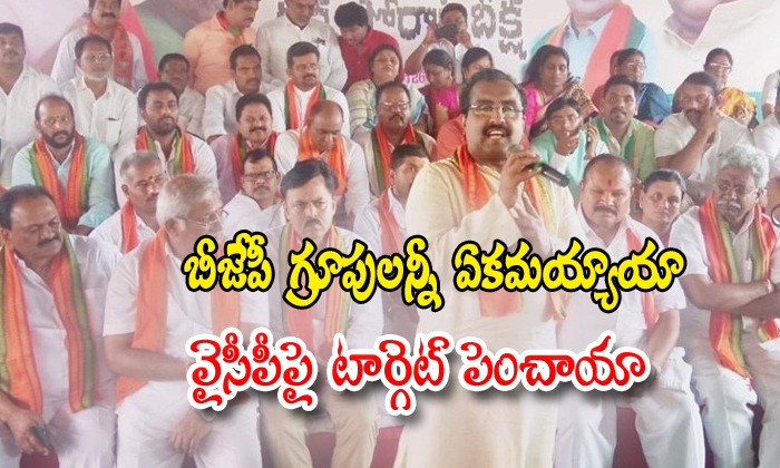  Ap All Bjp Groups In One And Focus On Ycp Party And Jagan Mohan Reddy-TeluguStop.com