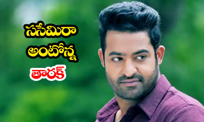  Jr Ntr To Play Sr Ntr Role In Jayalalitha Biopic-TeluguStop.com