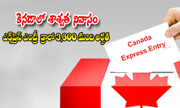  Express Entry Draw Invites 3600 Candidates Toapply-TeluguStop.com
