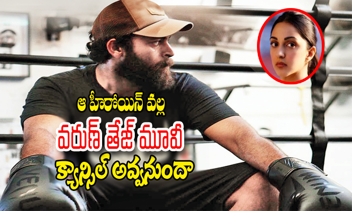  Varun Tej Movie Going To Cancel About Kiara-TeluguStop.com