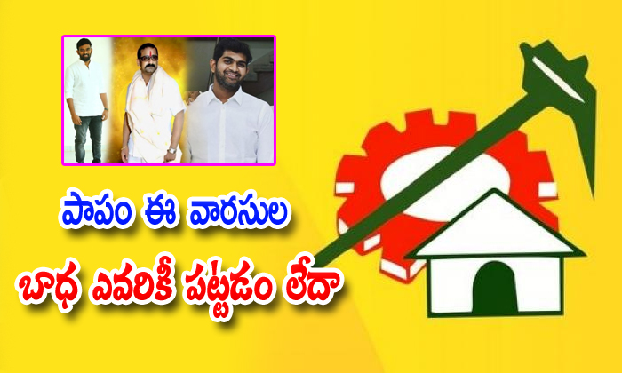  What About Political Leaders Sons In Tdp-TeluguStop.com