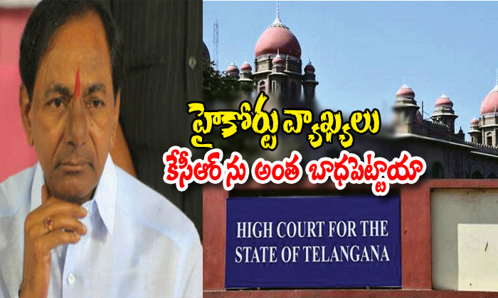  Cmkcr Hurt High Court Comments-TeluguStop.com