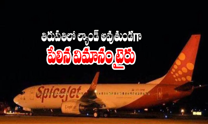  Spice Jet Air Plane Suffers Tyre Burst At Tirupathi Airport-TeluguStop.com