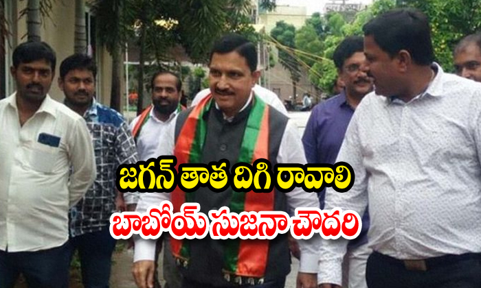  Bjp Mp Sujana Chowdari Comments On Jagan Mohan Reddy-TeluguStop.com