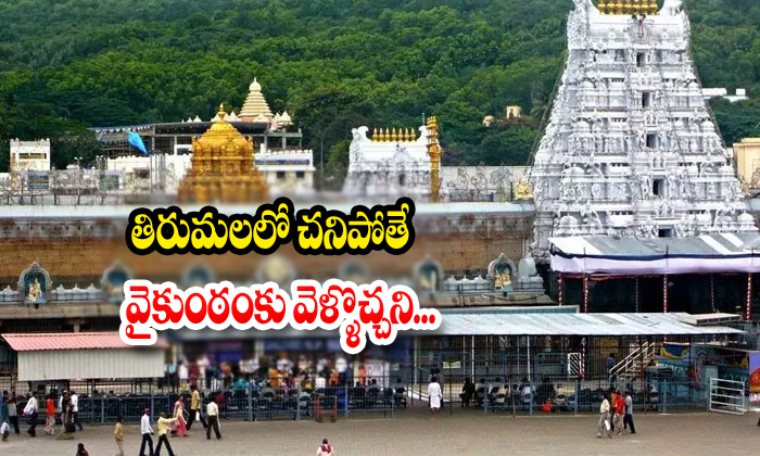  Devotee Commitssuicidenear Tirumala Temple-TeluguStop.com