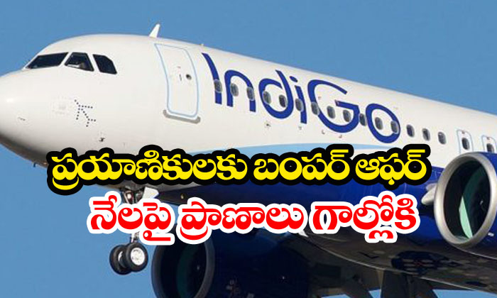  Indigo Special Offers On Behalf Of Christmas-TeluguStop.com