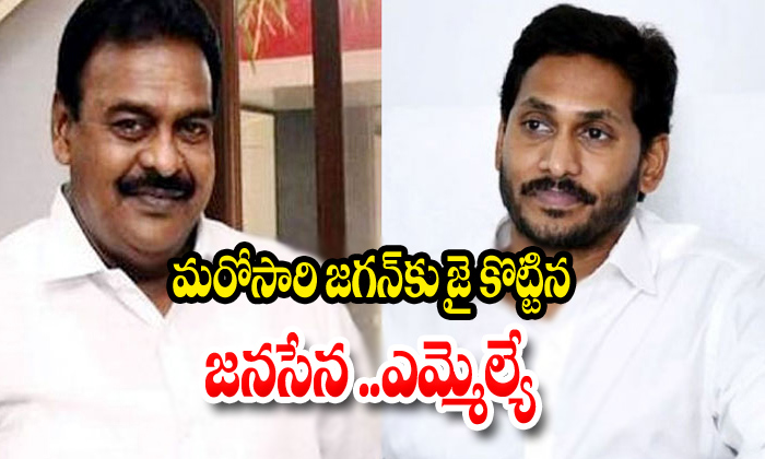  Janasena Mla Once Again Support Cm Jagan-TeluguStop.com