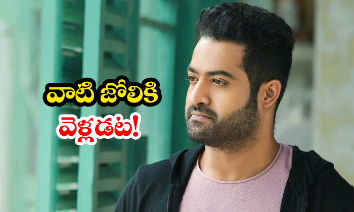  Ntr Not Getting Tempted By Them-TeluguStop.com