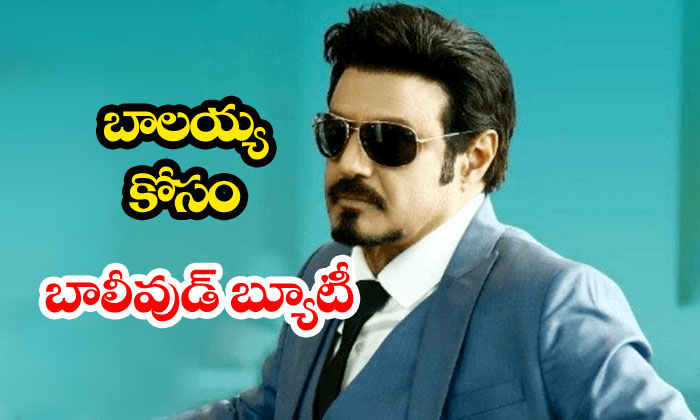  Nandamuri Balakrishna To Romance Bollywood Beauty-TeluguStop.com