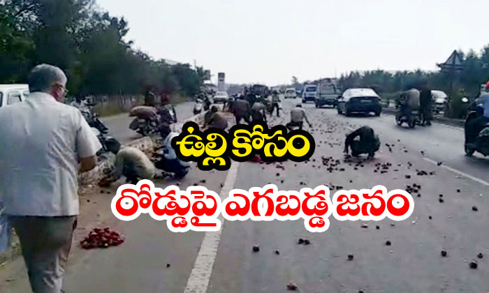  Onion Loot In Gujarat Highway-TeluguStop.com