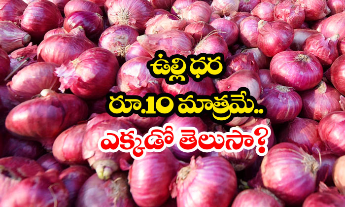  Onion Rate In Madhya Pradesh For 10 Rs-TeluguStop.com