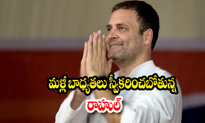  Rahul Gandhi Take The Congress Responsibilites-TeluguStop.com