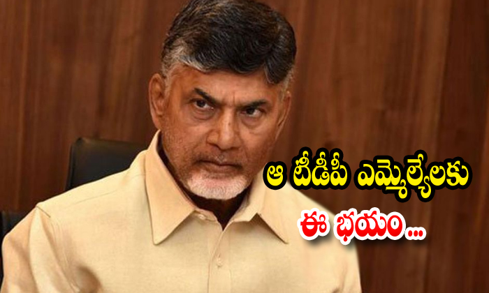  Tdp Mlas Fears With Ysrcp Govt-TeluguStop.com