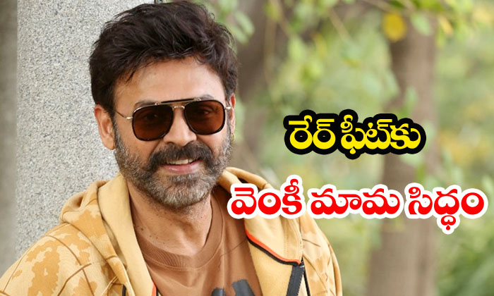  Venkatesh To Cut 653 Cakes On Birthday-TeluguStop.com