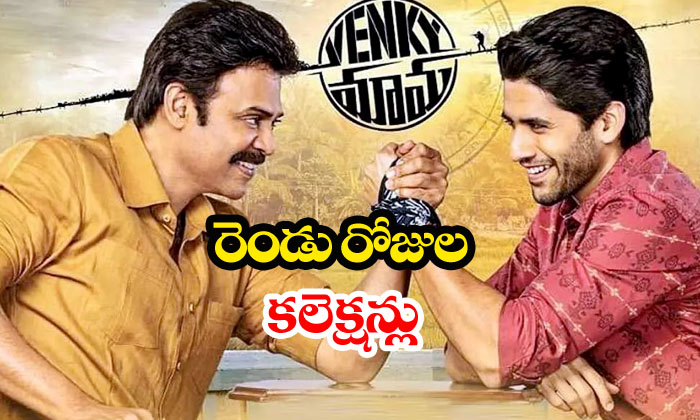  Venky Mama 2 Days Collections-TeluguStop.com