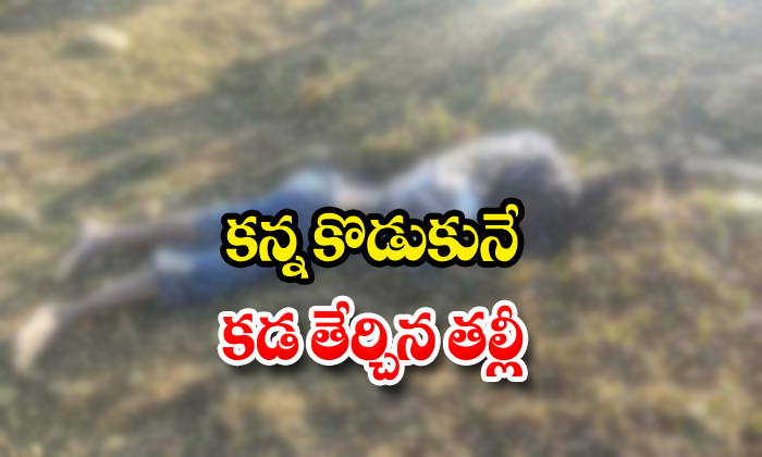  Motherkilledher Son In Ranga Reddy District-TeluguStop.com