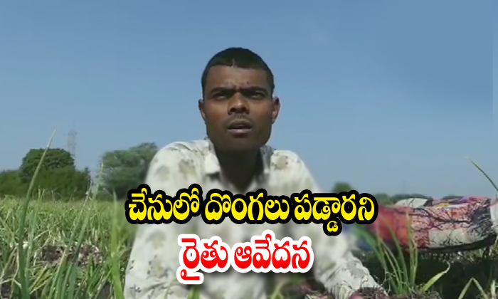  Onion Crop Worth 50000 Stolen From Farmers Field In Madhya Pradesh Mandh Sour-TeluguStop.com