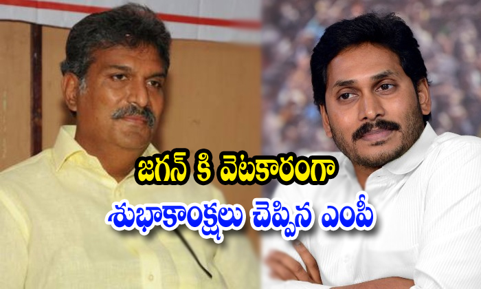  Tdp Mp Kesineni Nani Setarical Wishes On Jagan-TeluguStop.com