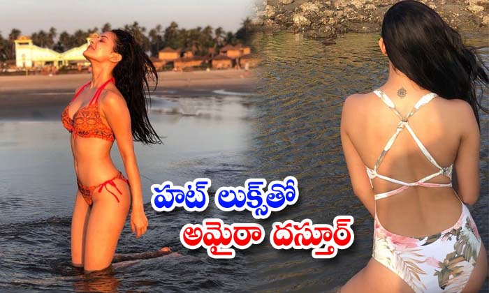 New Images: Amyra Dastur -  New Images Amyra Dastur Spicy Telugu Bollywood Album Seen-telugu Actress Photos New Images:  High Resolution Photo