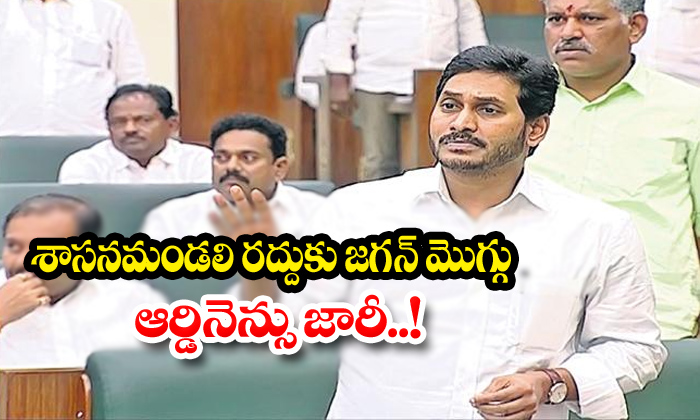  Andhra Pradesh Legislative Council Jagan Ysrcp Shareef-TeluguStop.com