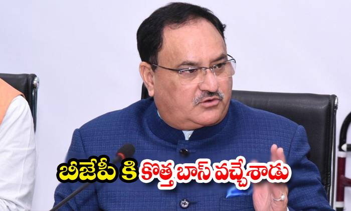  Bjp New Boss Is Jp Nadda-TeluguStop.com