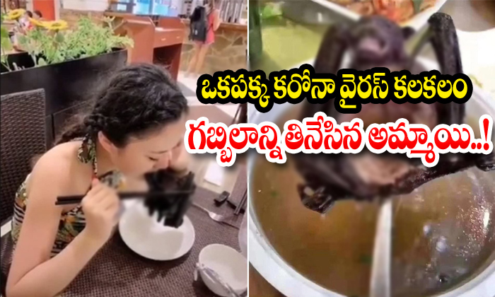  Chinese Woman Eating Bat At Restaurant-TeluguStop.com