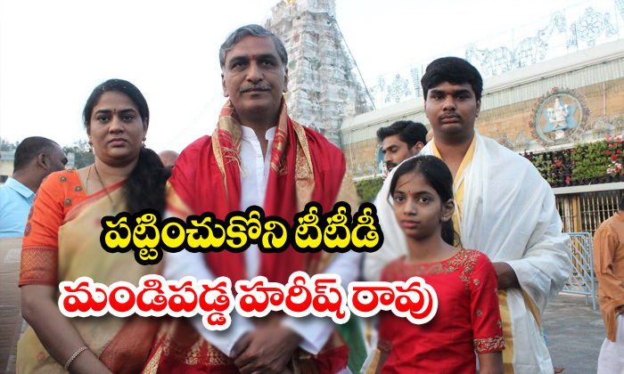  Harish Rao Faces Insult As No One Receives Him At Tirumala-TeluguStop.com