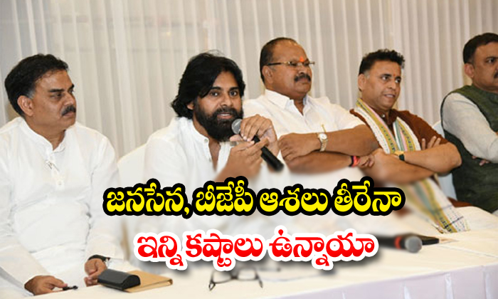  Janasena And Bjp Hopes Are Possibles-TeluguStop.com