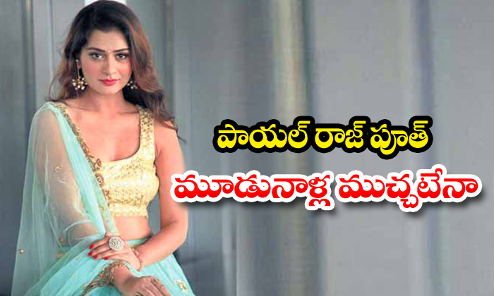  Latest Update Of Disco Raja About Payal Rajputh-TeluguStop.com