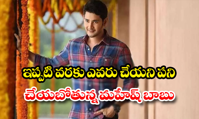  Mahesh Babu Get Ready To Host In Sarileru Nikevvaru Pree Release Event-TeluguStop.com