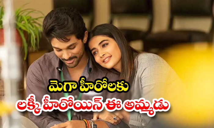  Mega Heros Lucky Heroin Pooja Hegde-TeluguStop.com