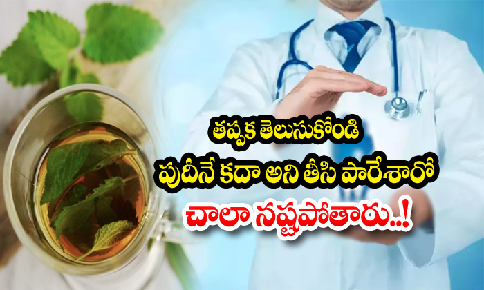  Pudhina,mint Leaves, Health Benefits Of Mint Leaves, Typhoid Fever-TeluguStop.com