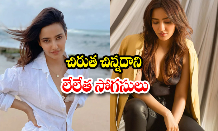 Neha Sharama Latest Photos-telugu Actress Photos Neha Sharama Latest Photos - Nehasharama High Resolution Photo