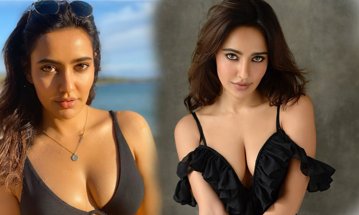 Neha Sharma Hot Photos-telugu Actress Photos Neha Sharma Hot Photos - Actress Bollywood Cilps Gallery Kollywood Latest High Resolution Photo