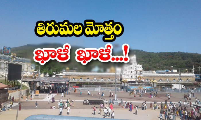  No One In Tirumala Venkateswara Hills-TeluguStop.com